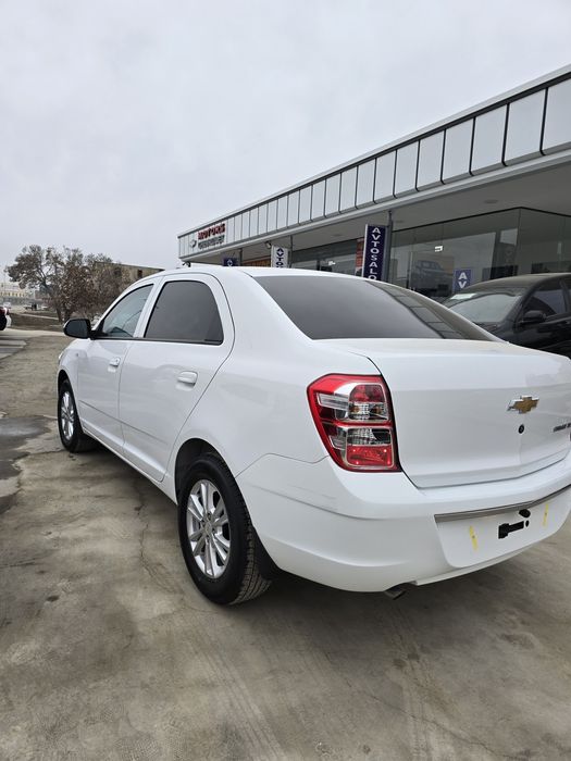 Кобальт ат сотилади 2023-24