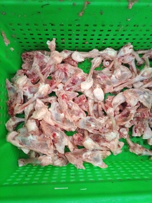 Продам куриный кости!!!