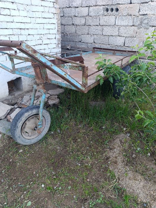 Арава сотилади кота