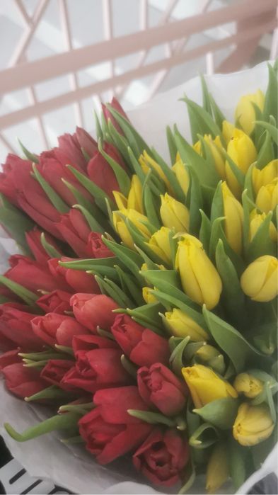 Тюльпаны к 8 марта