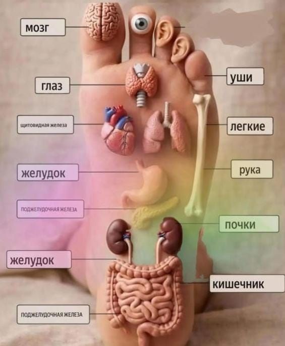 Профессиональный массаж