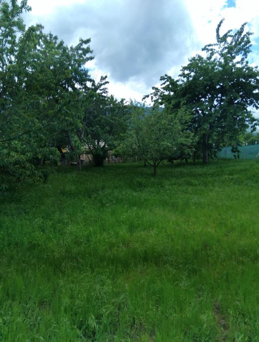 Продава поземлен имот в с.Жиленци общ.Кюстендил