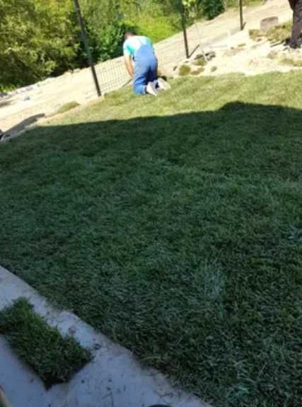 Gazon Natural Aclimatizat – Livrare în Toată Țara și Montaj