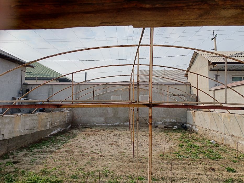 Теплица. Иссикхона.