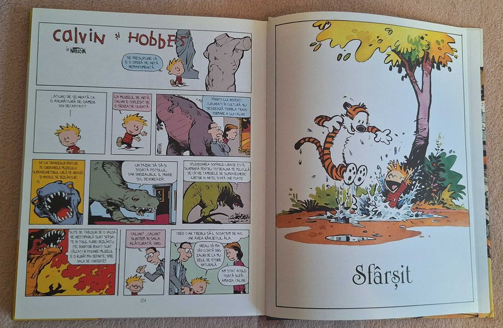 Carte Ilustrata Copii-Calvin&Hobbes