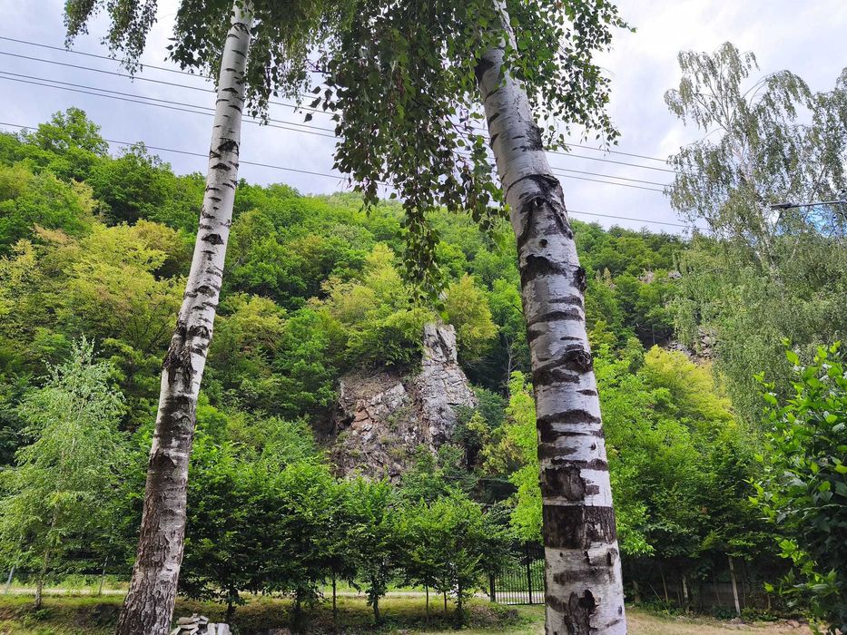 Casa doi mesteceni - Uzina, Somesu Rece, Cluj * Ciubar disponibil