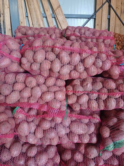 Vand cartofi de consum