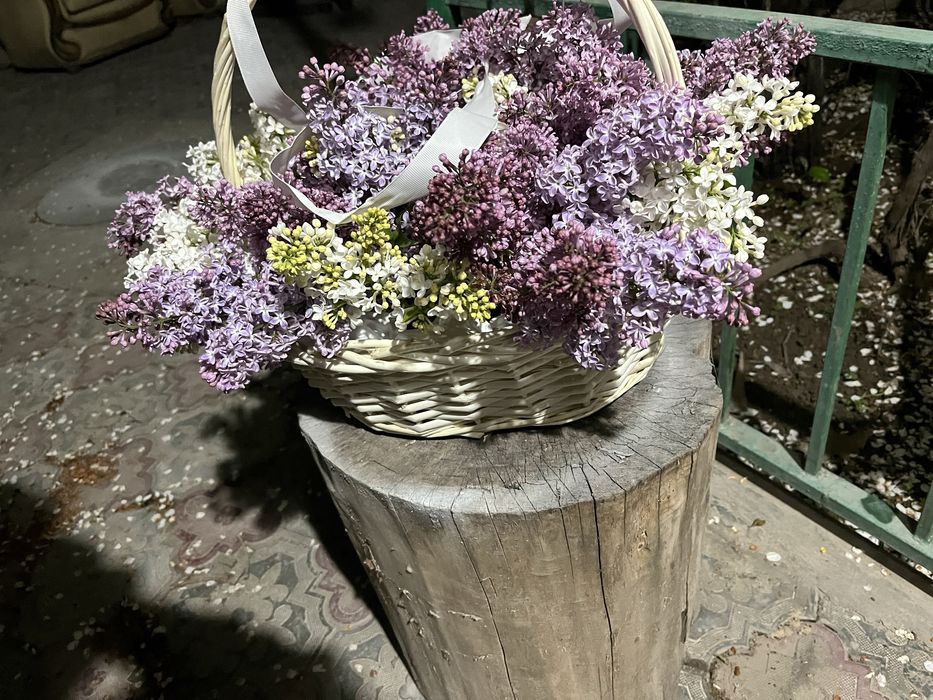 Сирень букет корзина 10к