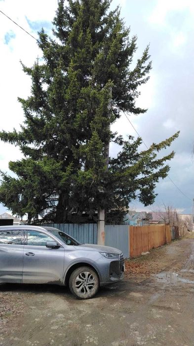 Дача возле Боровое