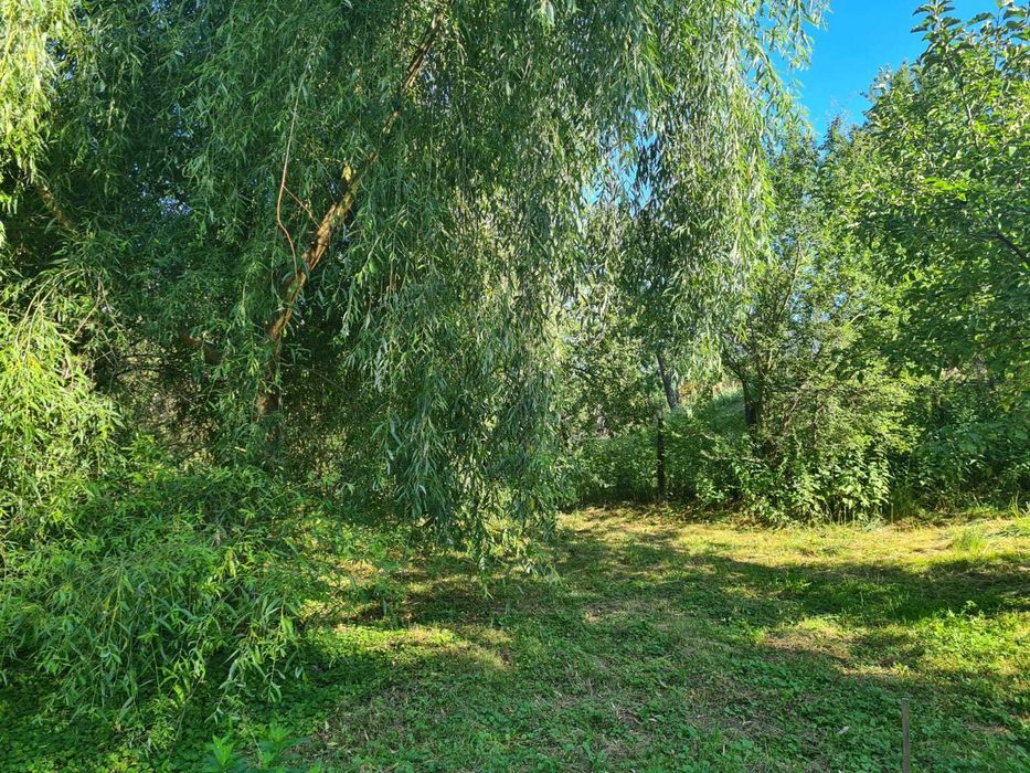 Particular Teren in Corbsori Arges - Corbii de Piatra - 33000 euro - Negociabil