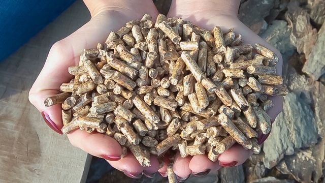 Продава се Промишлена сграда в Търговище, Промишлена зона - 5460 кв.м за 363 €/кв.м - Снимка #3