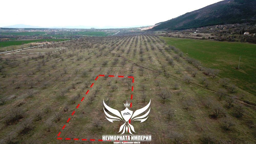 Продава се Парцел в Асеновград - 3943 кв.м за 7 €/кв.м - Снимка #2