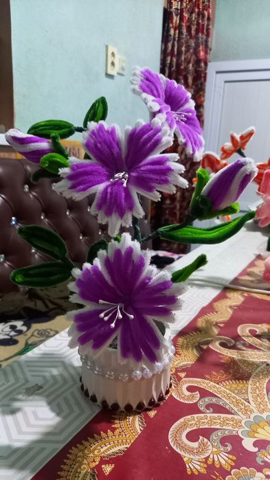 Капилка сувинер цветы гарания