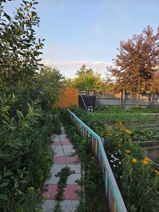 Продам дачу двенадцать соток