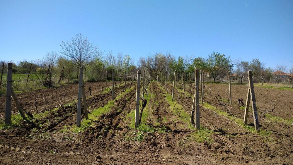 Продава се Къща в с. Екзарх Йосиф, Област Русе - 100 кв.м за 230 €/кв.м - Снимка #8