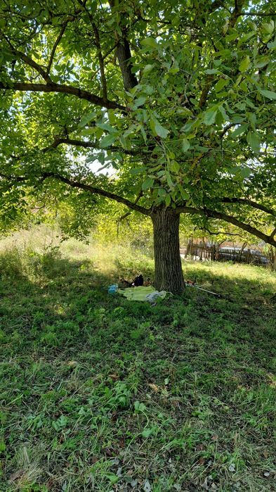 Teren  1200 mp, Călimănești, Vâlcea, 20m deschidere