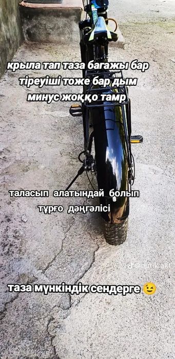 Велосипед анаконда