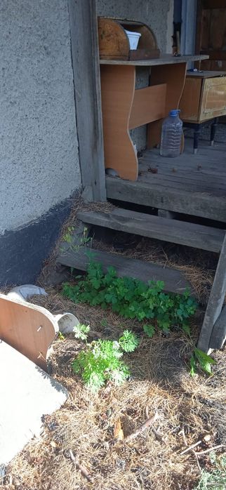 Продам дачу общество Энергетик