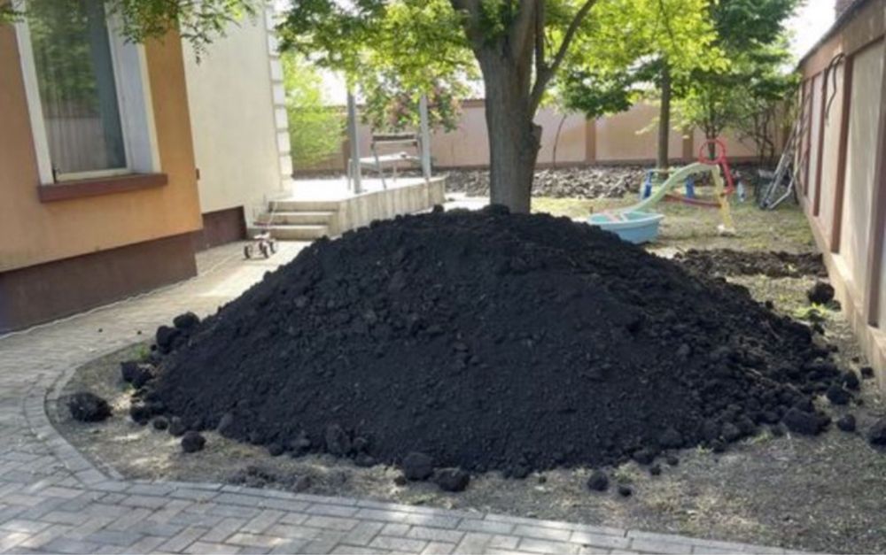 Pamant negru (vegetal)