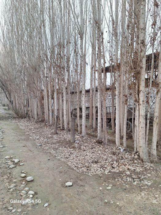 20 сотик йер уй жой учун сотилади