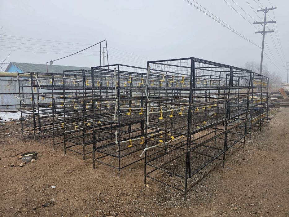 Клетки для кур металлические