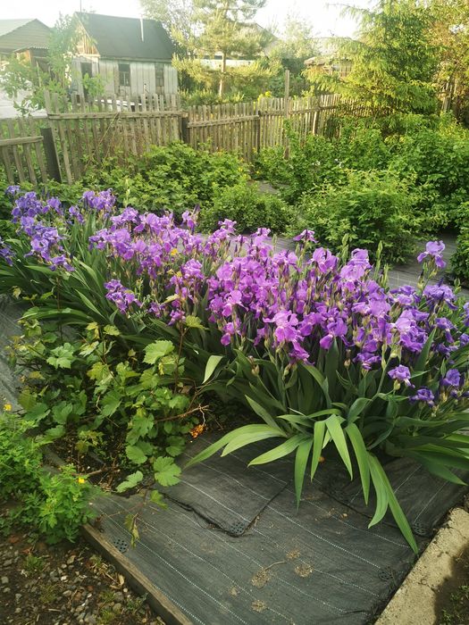 Срочно.Продается большой дом