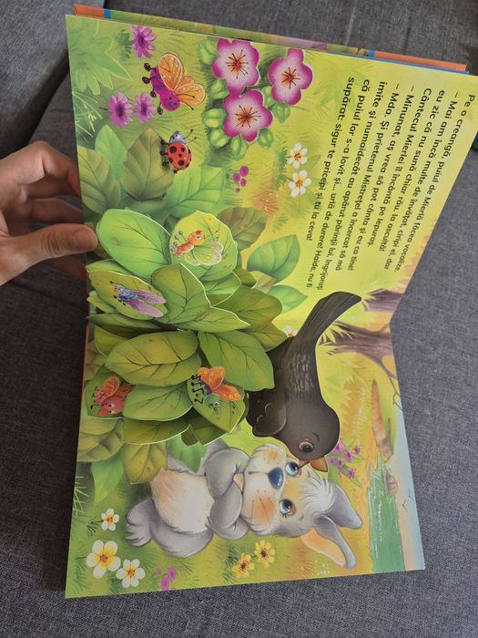 Carte editura Crisan