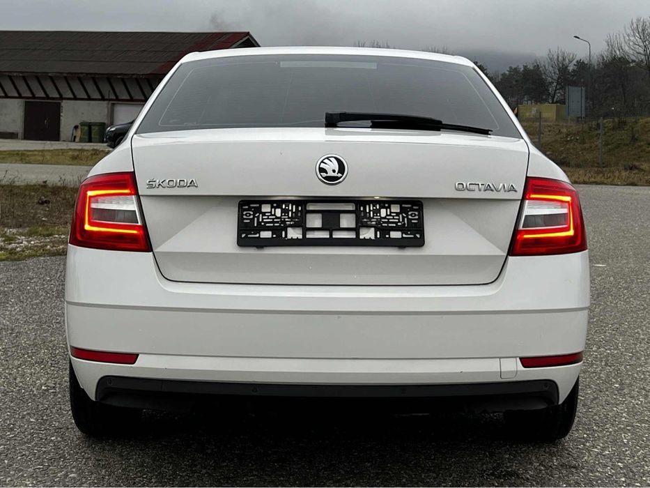 Skoda Octavia An Fab.2019 1.6Tdi Euro 6 116Cp !! Recent Adusa ! Ocazie