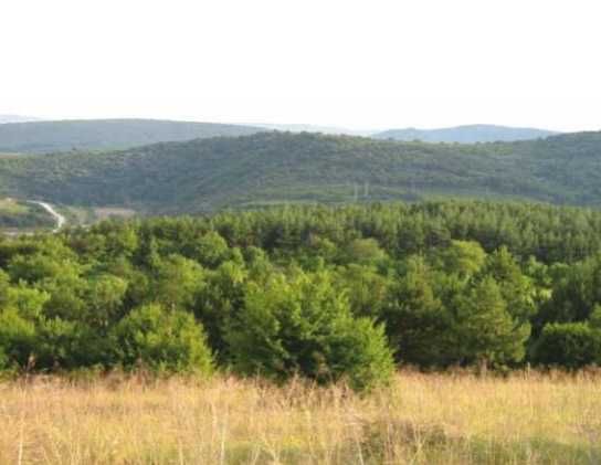 Парцел за жилищно строителство в гр. Велико Търново