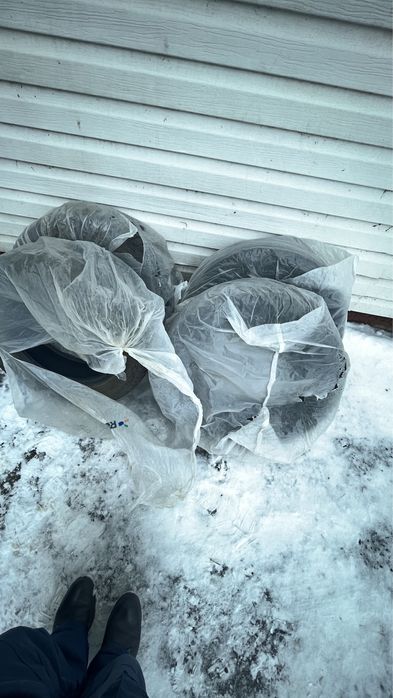 Продам шины зимние 16