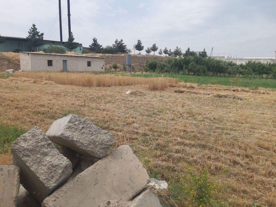 Ер сотилади (тайер бинолари хам мавжуд) 1 гектар