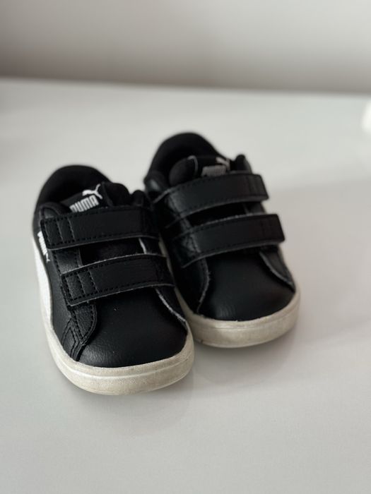 Коцове пума.    .