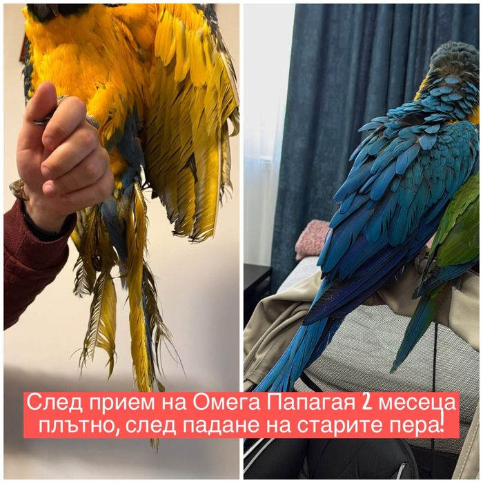Добавка за здраво оперение за папагал / начупени пера OMEGA PAPAGAYA