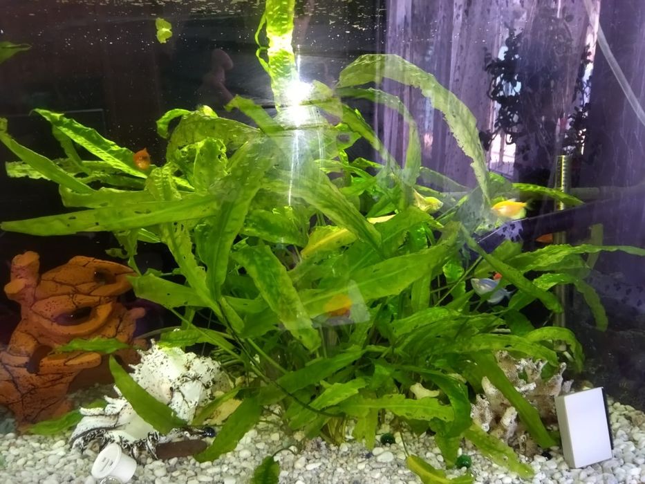 Аквариум с тумбой