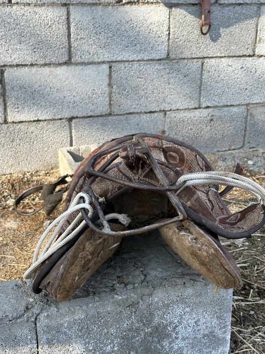 Қырғыз ертоқым….