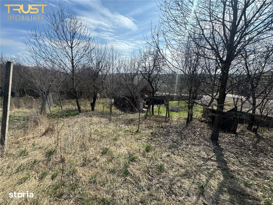 Teren Parcelabil I 11400 MP I Corpadea