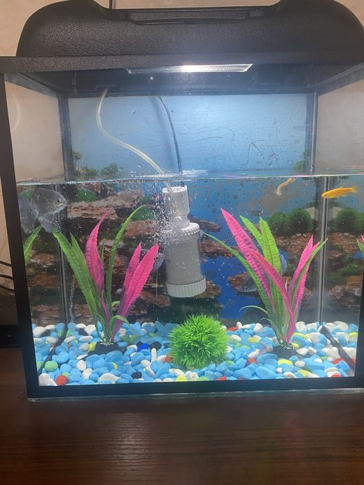 Продам аквариум с рыбками