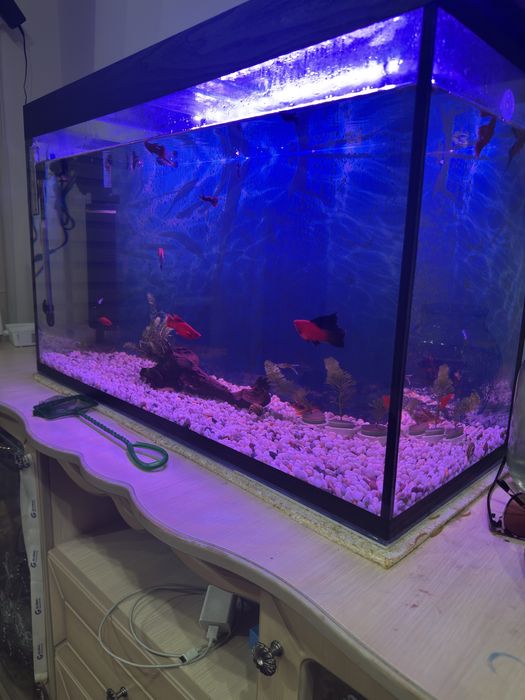 Продам аквариум 120 литров