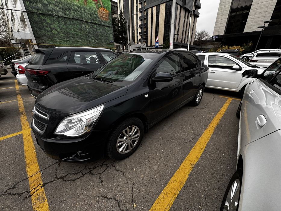 Cobalt Darkmoon Blue