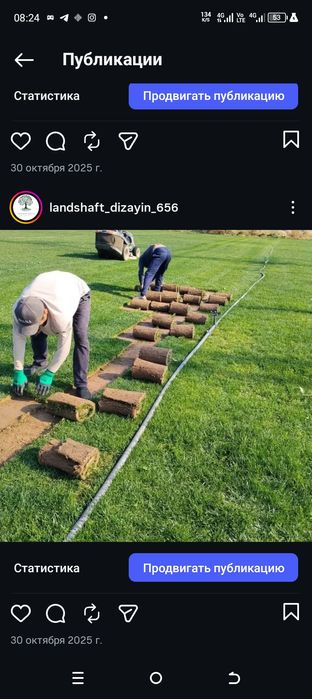 Tayor rulon gazon uruğ xam sepish