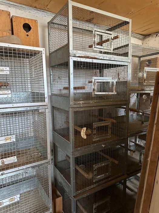 клетки 4х этажные, и 5 этажные для папугаев.