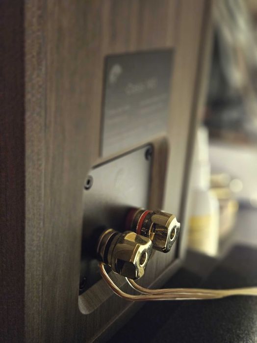 Swans Oasis 140, пасивни тонколони