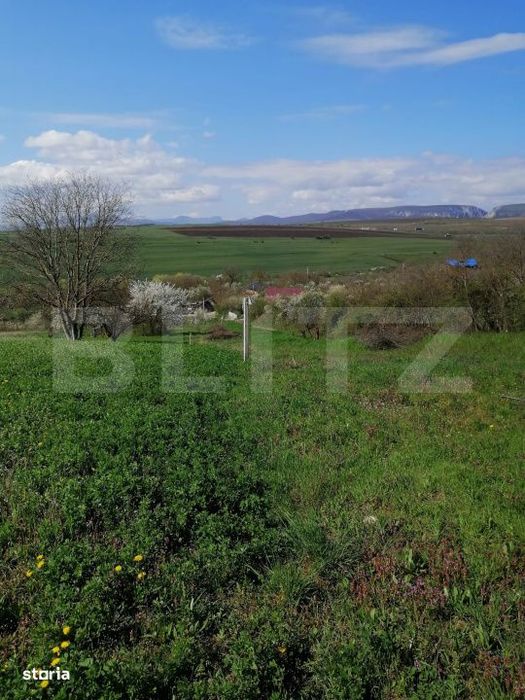 Teren intravilan, 1500 mp  in Turda