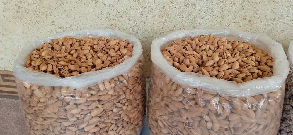 Бодом меваси мағизи мазали ва шифобахш ҳусусиятга эга