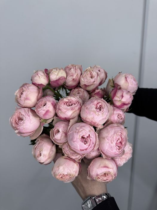 Оптом Цветы Розы Экзотика