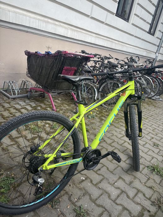 Bicicleta Whisler Focus