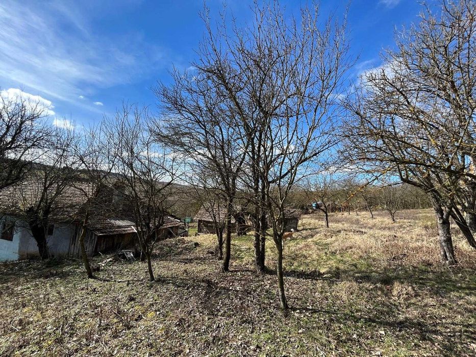Casa cu Teren Extins – Liniște, Natură și Spațiu Generos