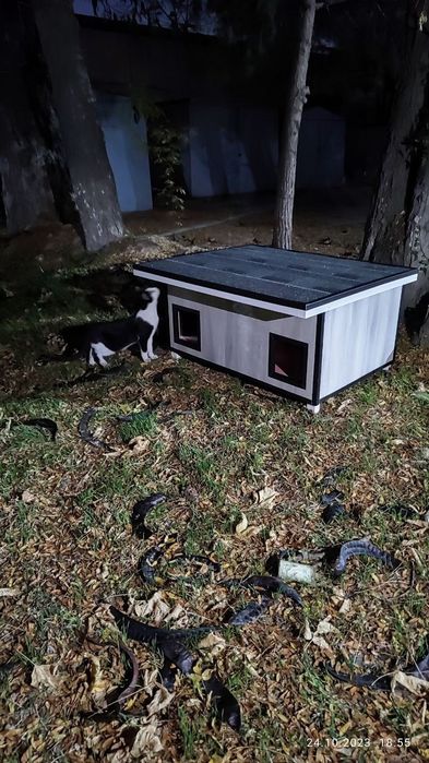 Делаю домики   для уличных кошек