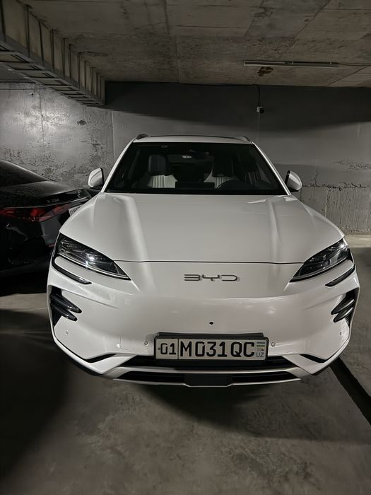 Срачно BYD champion full