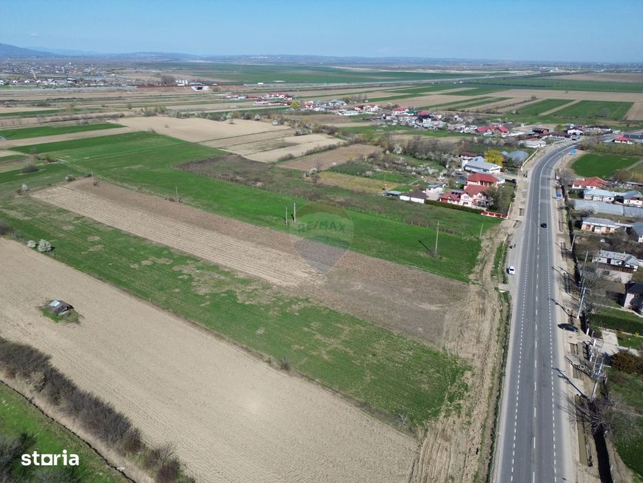 Teren 9,431mp Bizighesti / DJ 205E